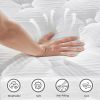 Twin Size 12 Inch 7-Zoned Cool Memory Foam Individual Pocket Spring Hybrid Mattress