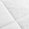 Down Alternative Blanket